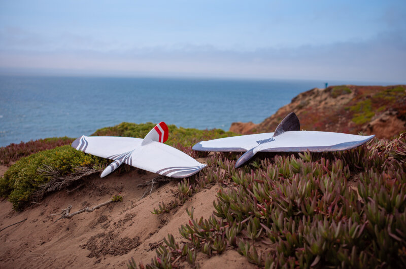 Sonoglider Duet
